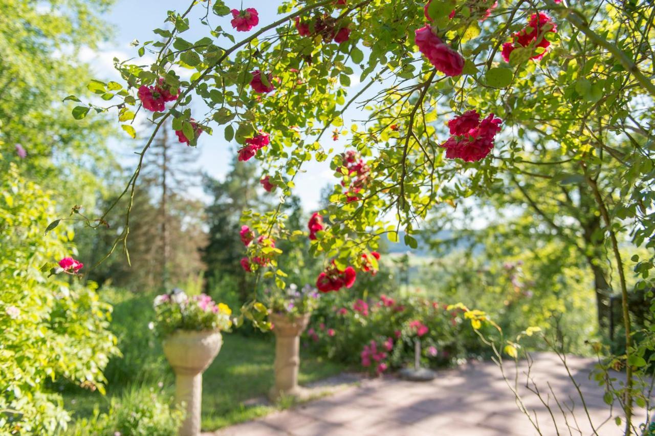 Hartmannsreuth Ferienhaeuschen Sans Pareille Bei Bayreuth 빌라 외부 사진